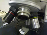 Microscope